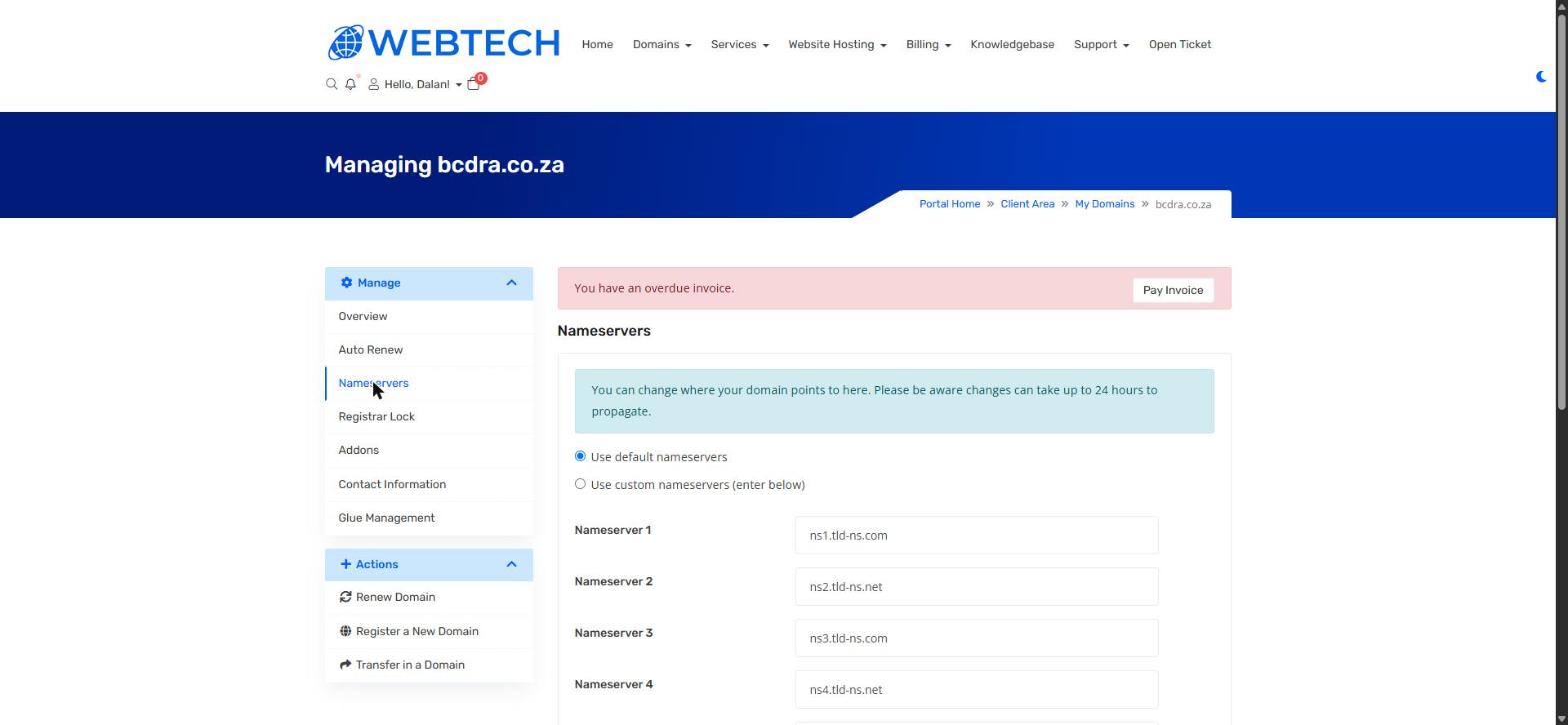 The Nameservers page with default and custom options